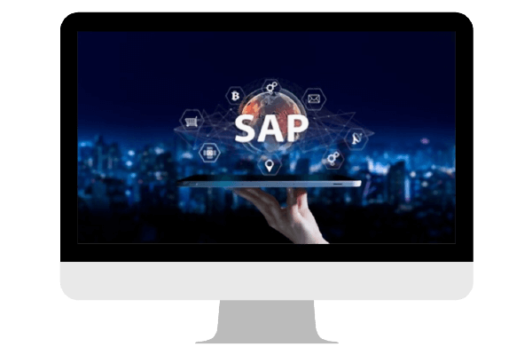 SAP Business One consulting